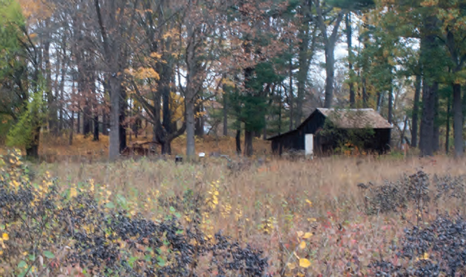 Aldo Leopold - The Shack